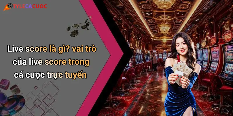 Live score là gì? vai trò của live score trong cá cược trực tuyến